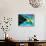 Bahamian Flag-bioraven-Stretched Canvas displayed on a wall