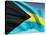 Bahamian Flag-bioraven-Stretched Canvas