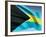 Bahamian Flag-bioraven-Framed Art Print