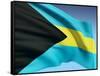 Bahamian Flag-bioraven-Framed Stretched Canvas