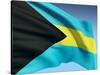 Bahamian Flag-bioraven-Stretched Canvas