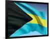 Bahamian Flag-bioraven-Framed Art Print