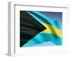 Bahamian Flag-bioraven-Framed Art Print