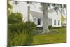 Bahamian House-Alessandro Raho-Mounted Giclee Print