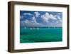 Bahamian Racing Sloop at the Annual National Family Island Regatta, Georgetown, Great Exuma-null-Framed Photographic Print