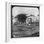 Bahia, Brazil, Late 19th or Early 20th Century-null-Framed Photographic Print