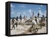 Bahia Fisherman on Beach with their Nets-Dmitri Kessel-Framed Stretched Canvas