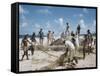 Bahia Fisherman on Beach with their Nets-Dmitri Kessel-Framed Stretched Canvas