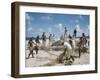 Bahia Fisherman on Beach with their Nets-Dmitri Kessel-Framed Photographic Print