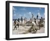 Bahia Fisherman on Beach with their Nets-Dmitri Kessel-Framed Photographic Print