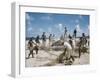 Bahia Fisherman on Beach with their Nets-Dmitri Kessel-Framed Photographic Print