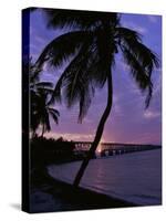 Bahia Honda State Park, Florida, USA-null-Stretched Canvas