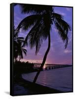 Bahia Honda State Park, Florida, USA-null-Framed Stretched Canvas