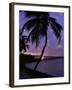 Bahia Honda State Park, Florida, USA-null-Framed Premium Photographic Print