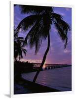 Bahia Honda State Park, Florida, USA-null-Framed Photographic Print