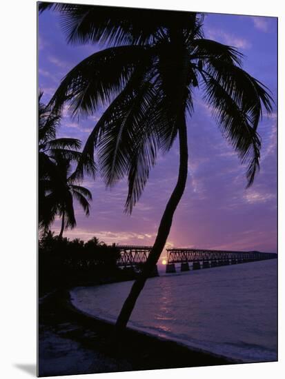 Bahia Honda State Park, Florida, USA-null-Mounted Photographic Print