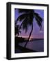 Bahia Honda State Park, Florida, USA-null-Framed Photographic Print