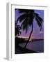 Bahia Honda State Park, Florida, USA-null-Framed Photographic Print