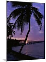 Bahia Honda State Park, Florida, USA-null-Mounted Photographic Print