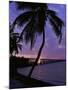 Bahia Honda State Park, Florida, USA-null-Mounted Photographic Print