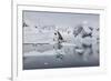 Bahia Paraiso (Paradise Bay), Antarctic Peninsula, Antarctica, Polar Regions-Gabrielle and Michel Therin-Weise-Framed Photographic Print