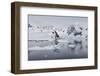 Bahia Paraiso (Paradise Bay), Antarctic Peninsula, Antarctica, Polar Regions-Gabrielle and Michel Therin-Weise-Framed Photographic Print