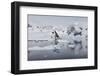 Bahia Paraiso (Paradise Bay), Antarctic Peninsula, Antarctica, Polar Regions-Gabrielle and Michel Therin-Weise-Framed Photographic Print