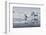 Bahia Paraiso (Paradise Bay), Antarctic Peninsula, Antarctica, Polar Regions-Gabrielle and Michel Therin-Weise-Framed Photographic Print