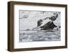 Bahia Paraiso (Paradise Bay)-Gabrielle and Michel Therin-Weise-Framed Photographic Print