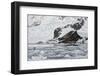 Bahia Paraiso (Paradise Bay)-Gabrielle and Michel Therin-Weise-Framed Photographic Print