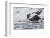 Bahia Paraiso (Paradise Bay)-Gabrielle and Michel Therin-Weise-Framed Photographic Print