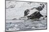 Bahia Paraiso (Paradise Bay)-Gabrielle and Michel Therin-Weise-Mounted Photographic Print