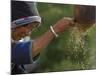 Bai Minority Winnowing Wheat, Jianchuan County, Yunnan Province, China-Pete Oxford-Mounted Photographic Print