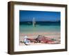 Baie de l'Embouchure, St. Martin, Caribbean-Greg Johnston-Framed Photographic Print