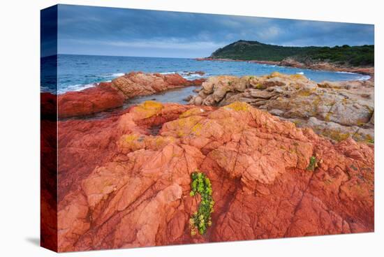 Baie de Rondinara Bay, Street of Bonifacio, Corsica, France-null-Stretched Canvas