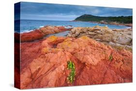 Baie de Rondinara Bay, Street of Bonifacio, Corsica, France-null-Stretched Canvas