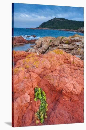 Baie de Rondinara Bay, Street of Bonifacio, Corsica, France-null-Stretched Canvas