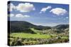 Baiersbronn, Black Forest, Baden Wurttemberg, Germany, Europe-Markus-Stretched Canvas