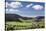 Baiersbronn, Black Forest, Baden Wurttemberg, Germany, Europe-Markus-Stretched Canvas