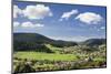 Baiersbronn, Black Forest, Baden Wurttemberg, Germany, Europe-Markus-Mounted Photographic Print