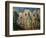 Baigneurs (the bathers). Oil on canvas (1890-1892) 60 x 82 cm R. F. 1965-3.-Paul Cezanne-Framed Giclee Print