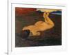 Baigneuse ou La Source - 1899 Canvas.-Felix Vallotton-Framed Giclee Print