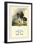 Bailiff's Cottage-Papworth-Framed Art Print