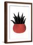 Brown Frame