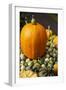 Bainbridge Island, Washington State, USA. Pumpkins-Jolly Sienda-Framed Photographic Print