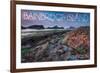 Bainbridge Island, Washington - Tidepool (Jesse Estes)-Lantern Press-Framed Art Print