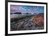 Bainbridge Island, Washington - Tidepool (Jesse Estes)-Lantern Press-Framed Art Print