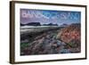 Bainbridge Island, Washington - Tidepool (Jesse Estes)-Lantern Press-Framed Art Print