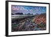 Bainbridge Island, Washington - Tidepool (Jesse Estes)-Lantern Press-Framed Art Print