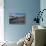 Bainbridge Island, Washington - Tidepool (Jesse Estes)-Lantern Press-Stretched Canvas displayed on a wall